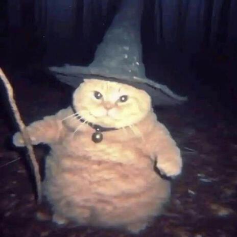 magical cat wizard (SPED UP)