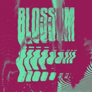 blossom lyrics | Boomplay Music