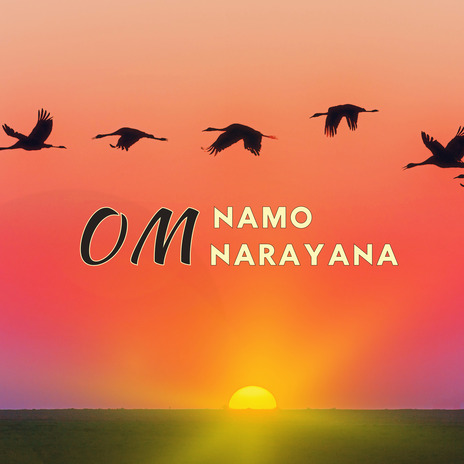 Om Namo Narayana | Boomplay Music