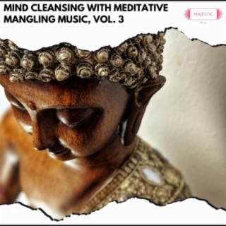 Mind Cleansing with Meditative Mangling Music, Vol. 3