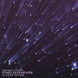 Stars Leave Me Now (slowed + reverb) (Caspro Remix) ft. Anniee lyrics | Boomplay Music