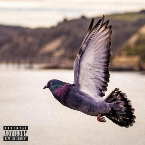 Pigeons ft. Cuauhtli | Boomplay Music