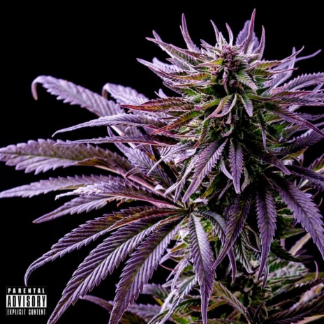 Green Crack (chopped & screwed) ft. Project Pat | Boomplay Music