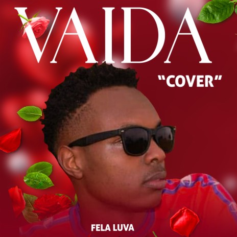 VAIDA COVER | Boomplay Music
