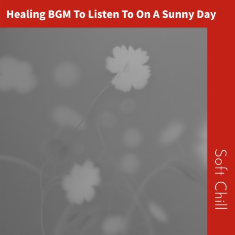 Music from the Morning | Boomplay Music