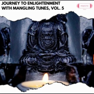 Journey to Enlightenment with Mangling Tunes, Vol. 5