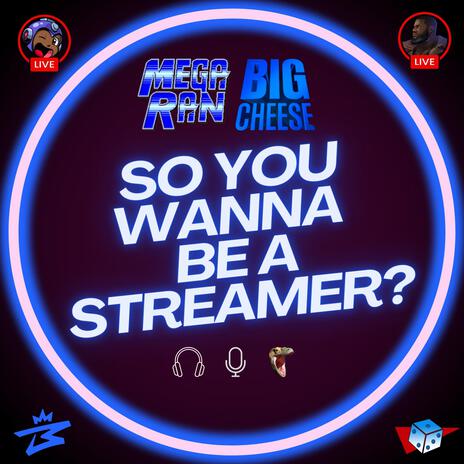 SO YOU WANNA BE A STREAMER? ft. Big Cheese | Boomplay Music