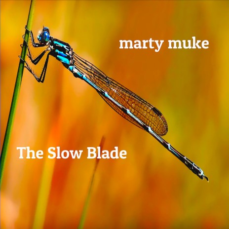 The Slow Blade | Boomplay Music