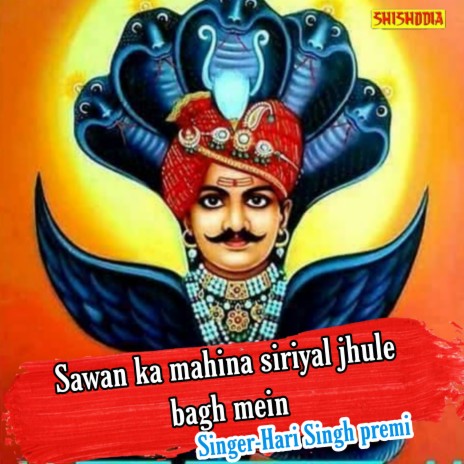 Sawan Ka Mahina Siriyal Jhule Bagh Mein | Boomplay Music