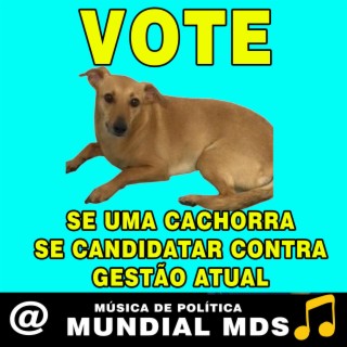 se uma cachorra se candidatar contra gestão atual música de política