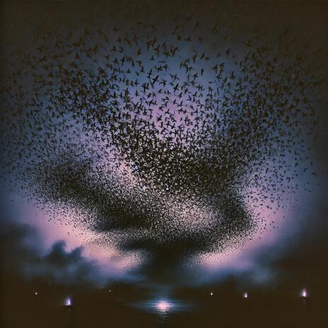 Murmuration | Boomplay Music