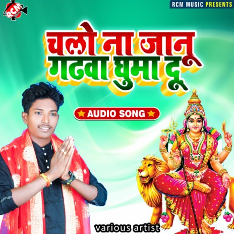 Darshan Kara Di Durga Mai Ke ft. Rinki Raj