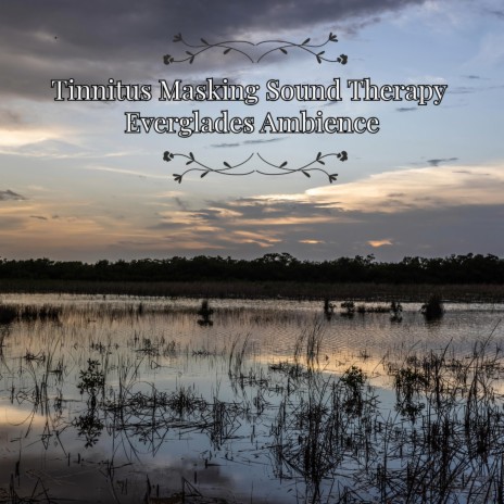 Tinnitus Masking Sound Therapy  Everglades Ambience | Boomplay Music