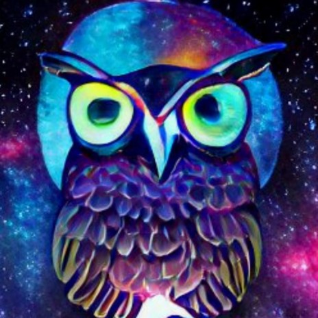 Flight of The Cosmic Owl