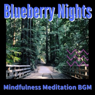 Mindfulness Meditation BGM