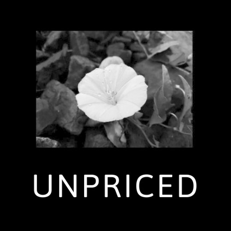 Unpriced | Boomplay Music