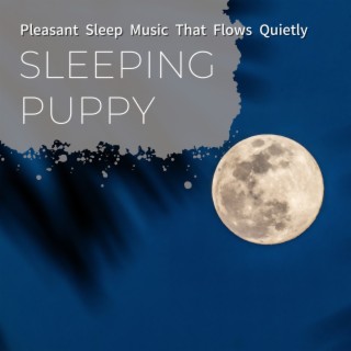 Pleasant Sleep Music That Flows Quietly