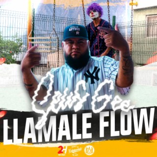 LLamale Flow