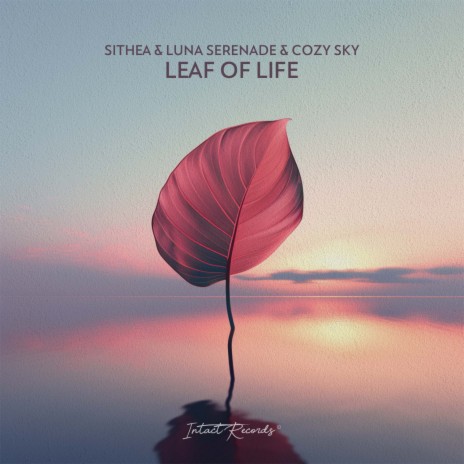 Leaf Of Life ft. Luna Serenade & Cozy Sky | Boomplay Music