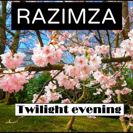 Twilight evening | Boomplay Music