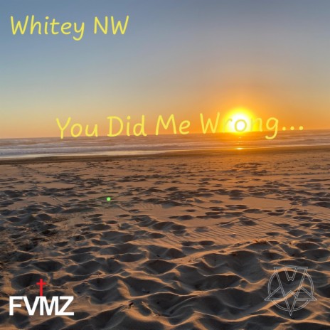 You Did Me Wrong | Boomplay Music