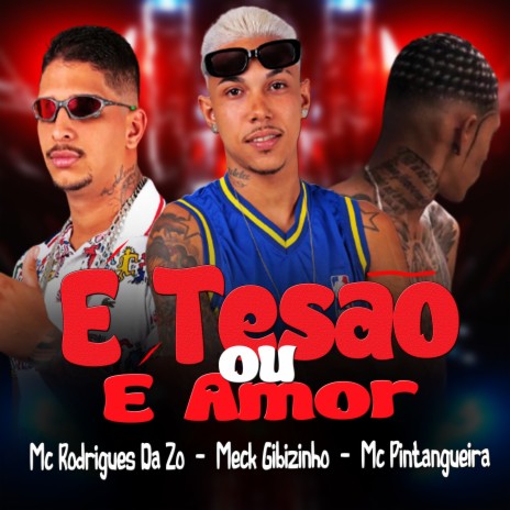 É Tesão ou É Amor ft. MC Rodrigues Da ZO & Mc Pintangueira | Boomplay Music