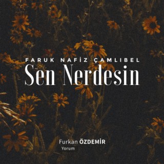 Faruk Nafiz Çamlıbel - Sen Nerdesin