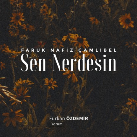 Faruk Nafiz Çamlıbel - Sen Nerdesin | Boomplay Music