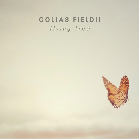 Flying Free | Boomplay Music