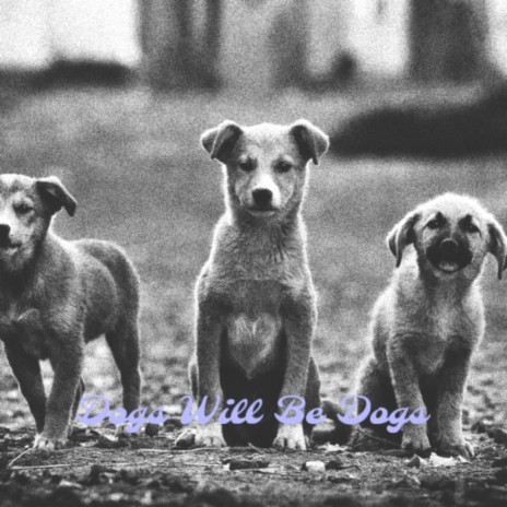 Dogs Will Be Dogs (Intro) | Boomplay Music