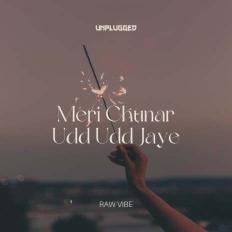 Meri Chunar Udd Udd Jaye (Unplugged) | Boomplay Music