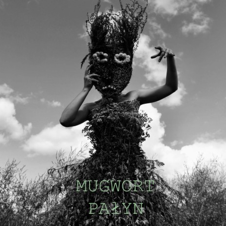 Mugwort (Palyn) | Boomplay Music