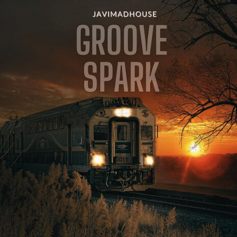 Groover Spark | Boomplay Music