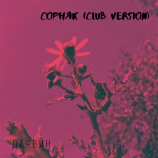 Сорняк (Club Version)