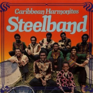 Caribbean Harmonites Steelband