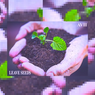 leave seeds lyrics | Boomplay Music