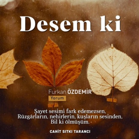 Cahit Sıtkı Tarancı - Desem ki | Boomplay Music