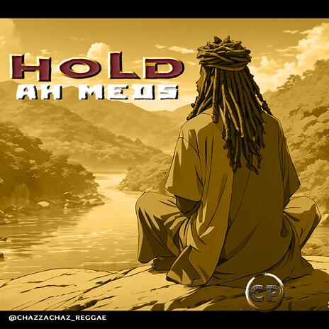 Hold ah meds | Boomplay Music