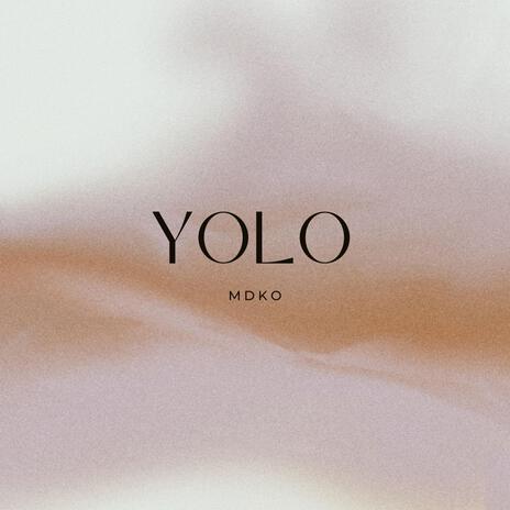 YOLO | Boomplay Music