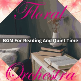 BGM For Reading And Quiet Time