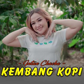 Kembang Kopi