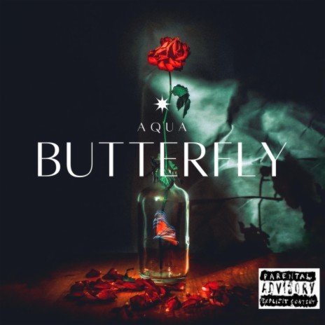 Butterfly (Radio Edit) | Boomplay Music