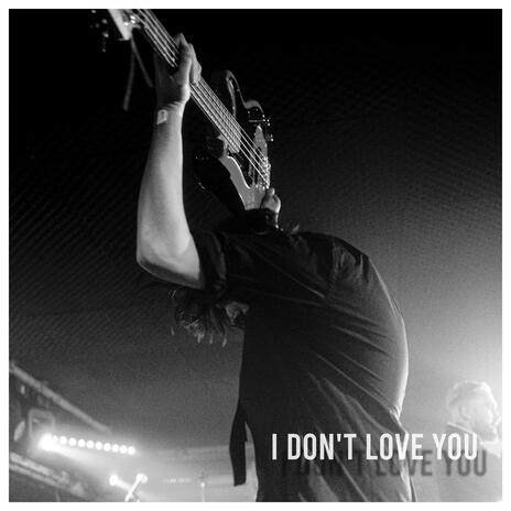 i don't love you | Boomplay Music