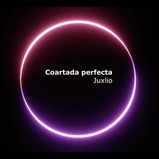 Coartada perfecta