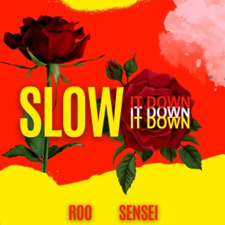 Slow It Down ft. Sensei lyrics | Boomplay Music