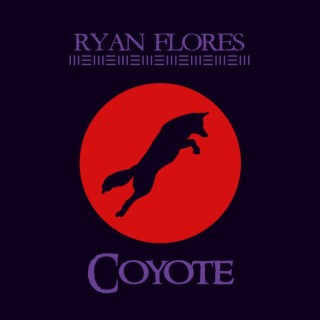 Coyote