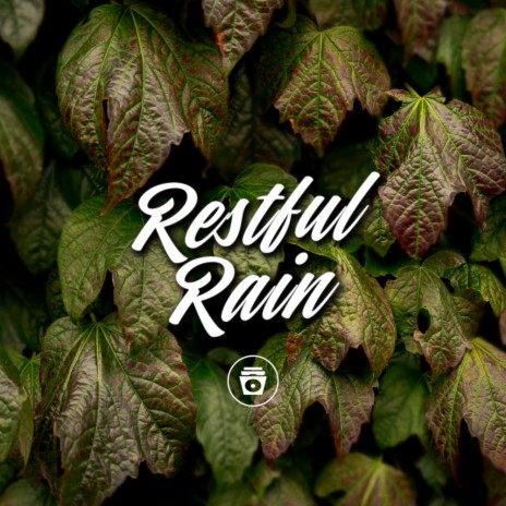 Soothing Rain Sounds