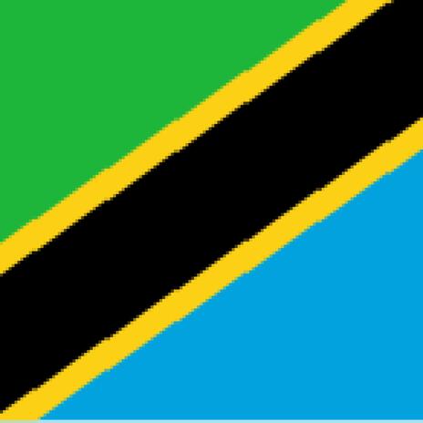 NATIONAL ANTHEM OF TANZANIA | Boomplay Music