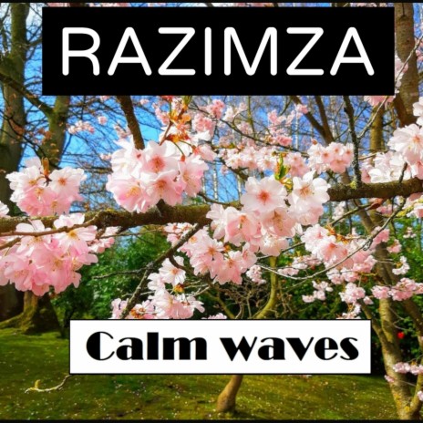 Calm waves | Boomplay Music