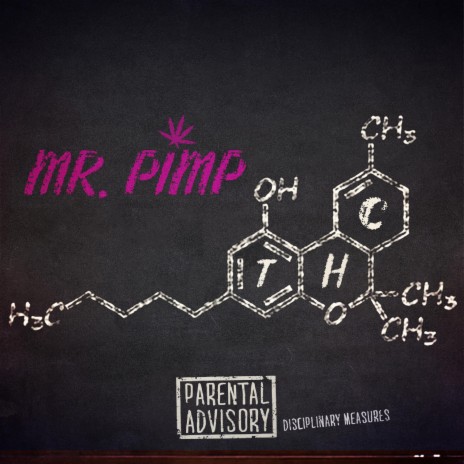 Mr Pimp | Boomplay Music